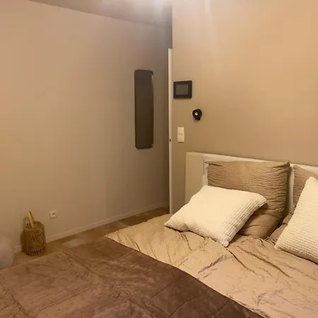 Chambre D'Hote - Cosy Centre Ville Avec Terrasse - Reserver Femmes *